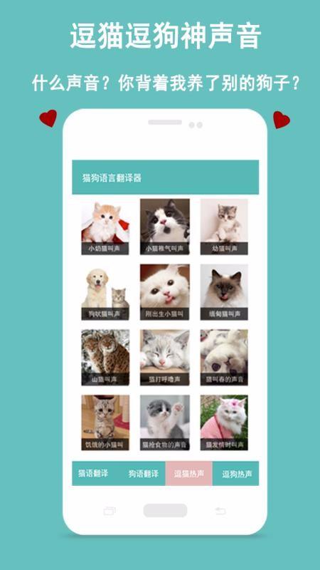 猫狗语言交流器app下载,猫狗语言交流器手机版